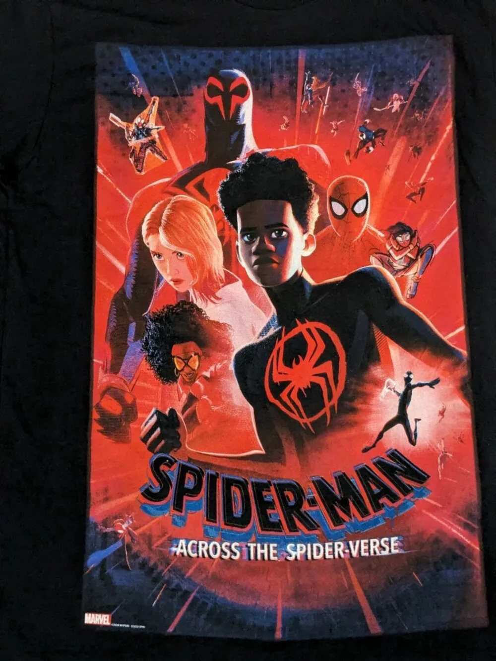 Marvel Spider Man Across the Spider Verse Graphic T shirt Streetwear Y2K Large